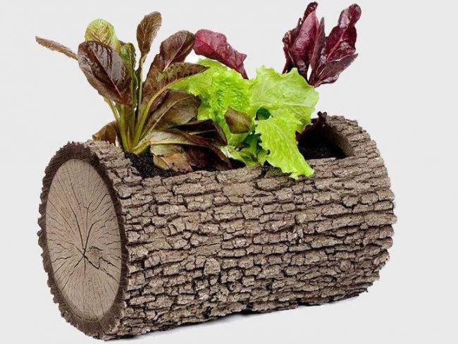 ЦВЕТОЧНИЦА ГОРИЗОНТАЛЬНАЯ ДУБ M (средняя) ЦВЕТОЧНИЦА ГОРИЗОНТАЛЬНАЯ ДУБ M (средняя)