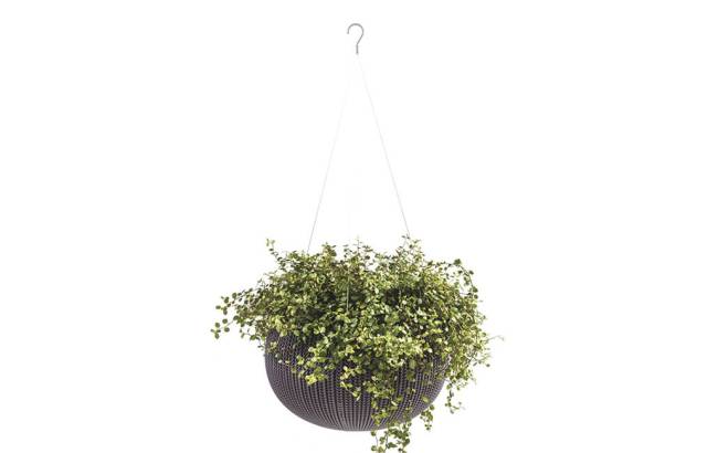 Кашпо Cozies M подвесное Violet 610 Кашпо Cozies M подвесное Violet 610