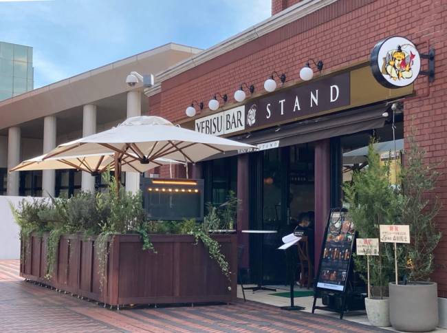 Зонт профессиональный двухкупольный 2.9х6.3 м Galaxia Dual T Timber имитация ироко, слоновая кость 2900х6300 мм