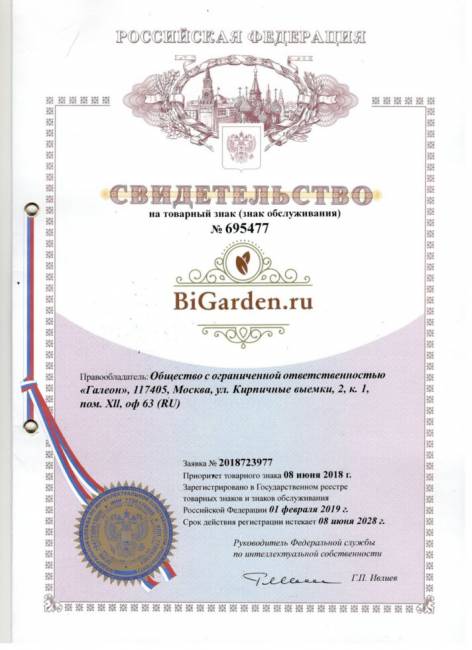 Подвесное кресло в виде капли "Tropica Black BS" Зеленая подушка