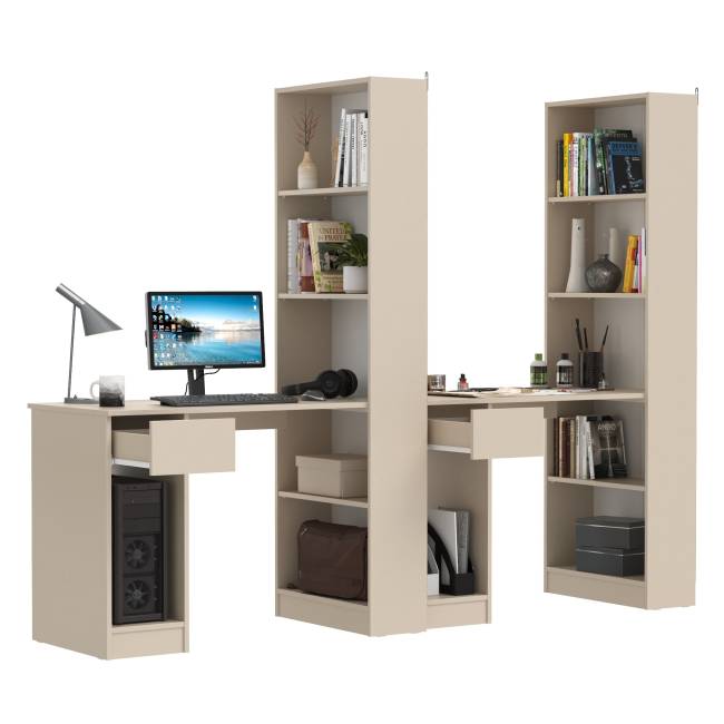 Лайт шкаф комбинированный с компьютерным столом 10.01 цвет сатин